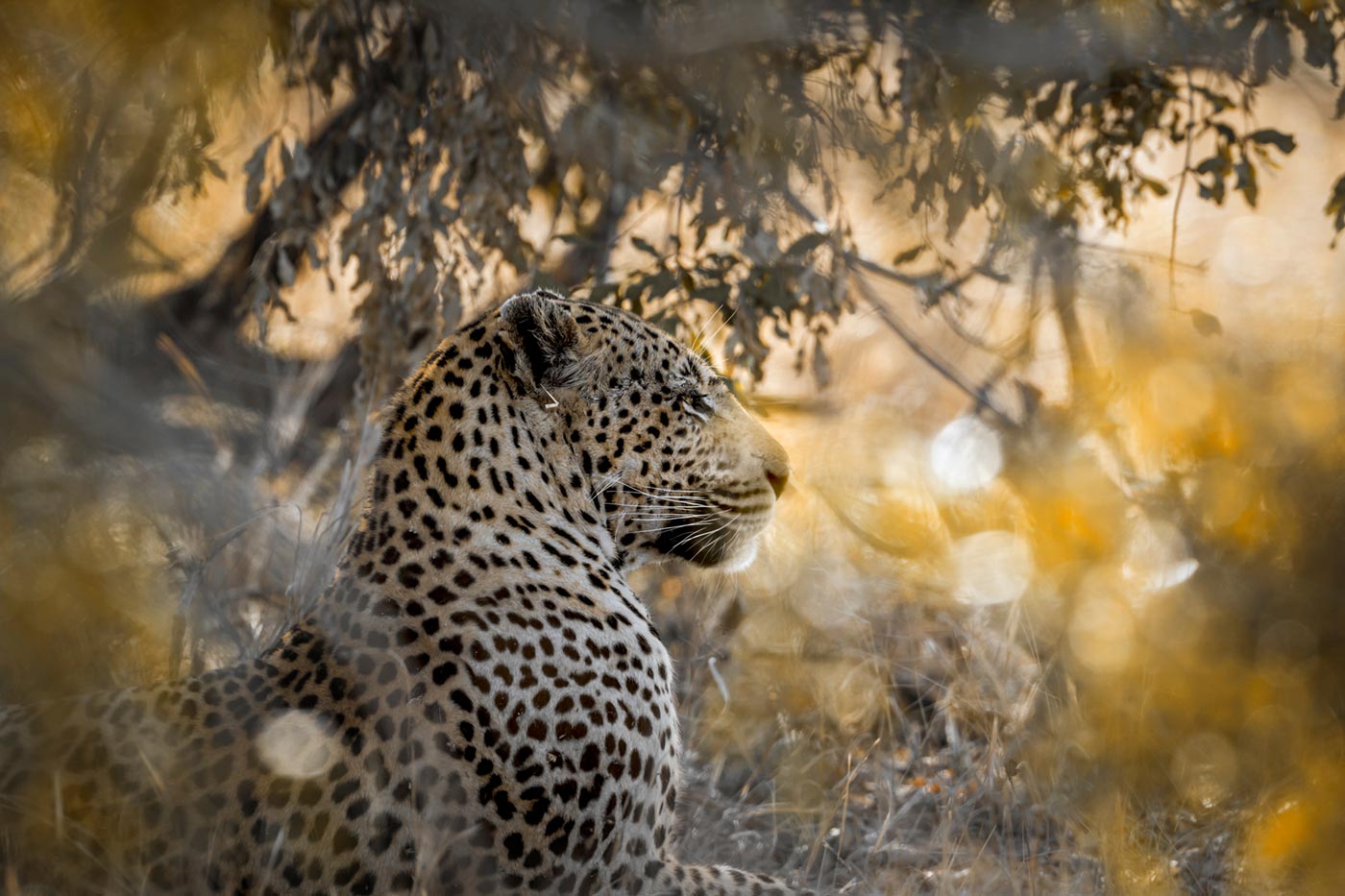 YALA NATIONAL PARK