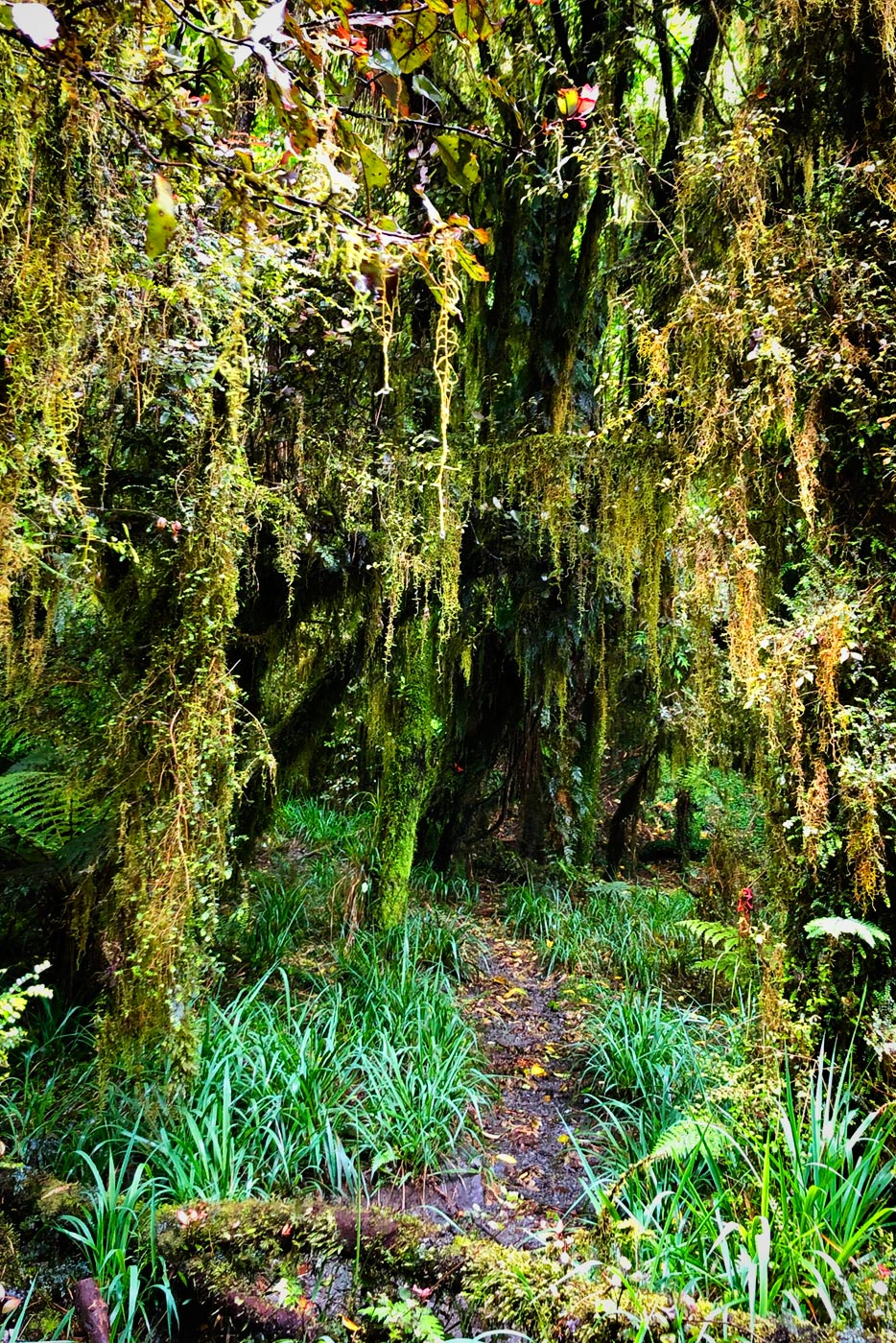 A veces con la lluvia los paisajes se vuelven mágicos