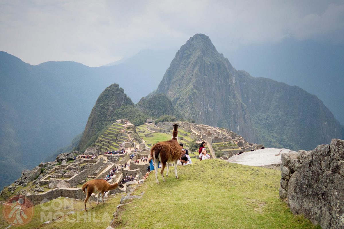 Machu Picchu