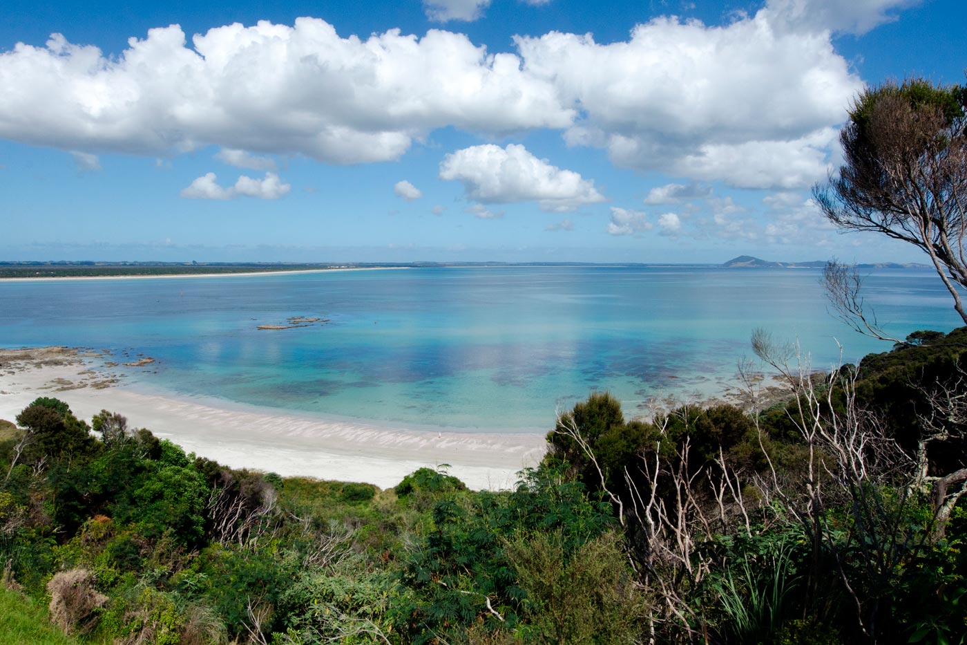 Karikari peninsula
