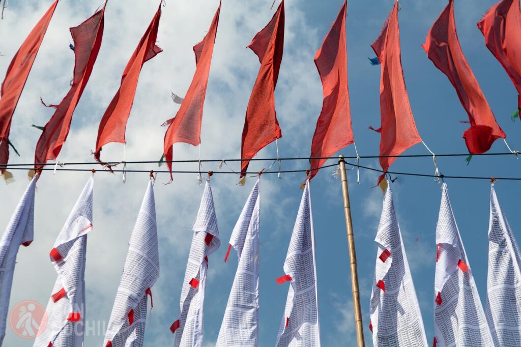 Flags and more flags