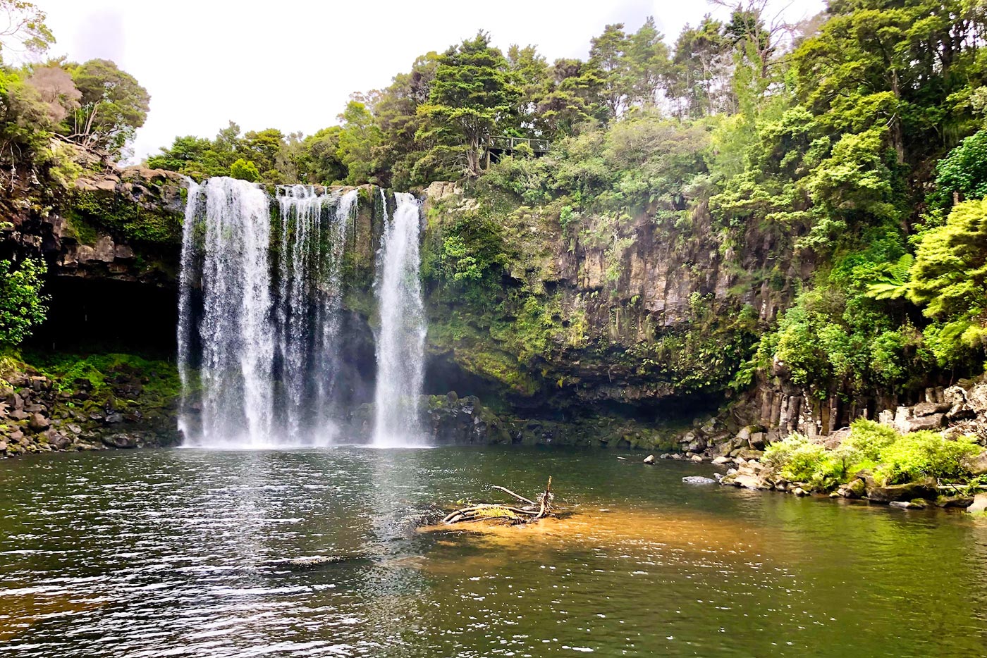 Whangarei Falls