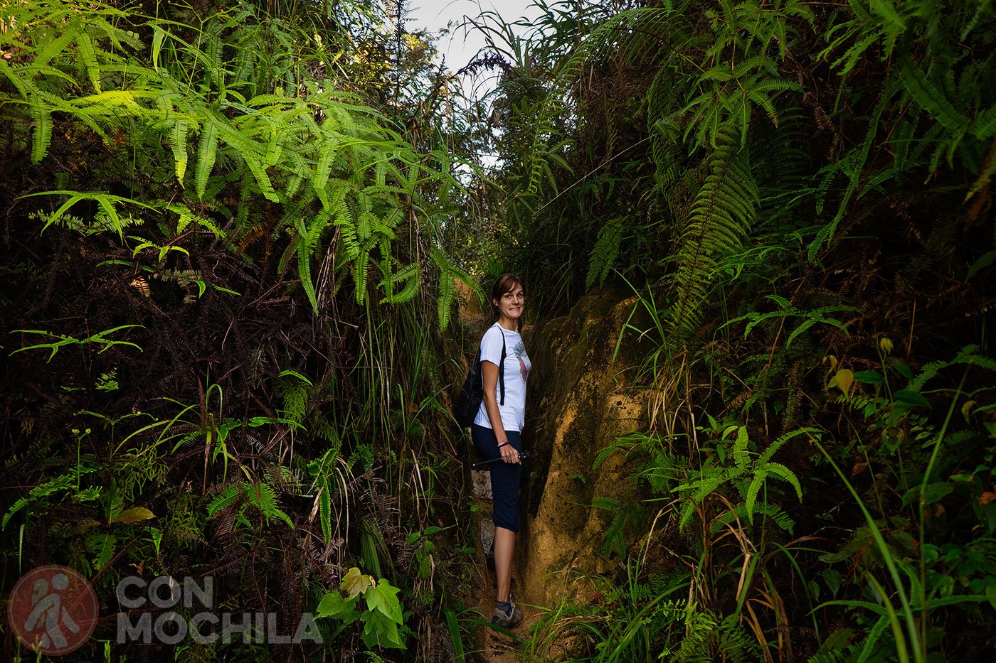 Cameron Highlands trekking begins