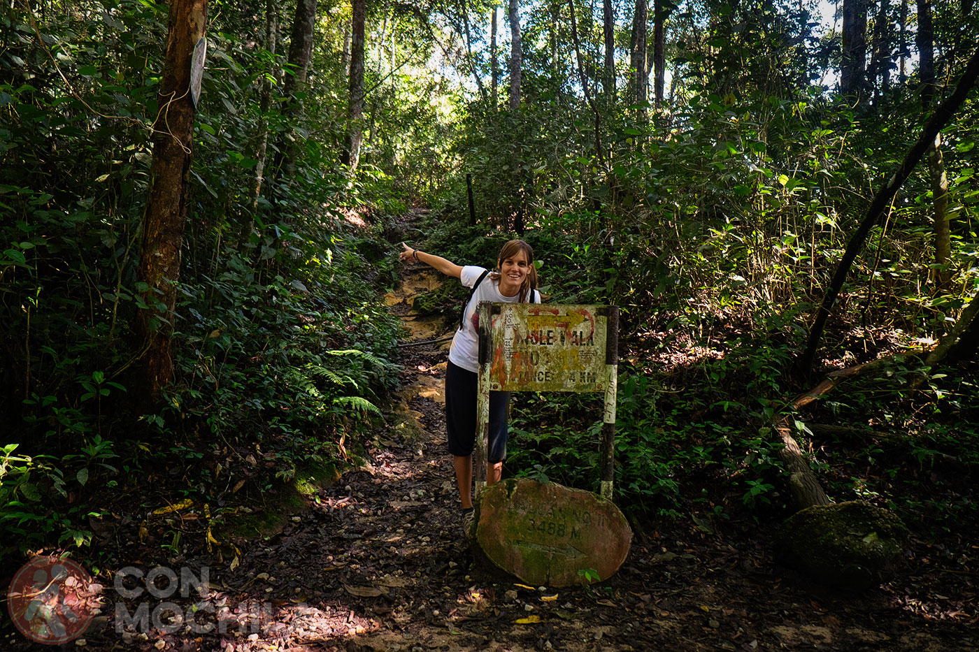 Everything well signposted