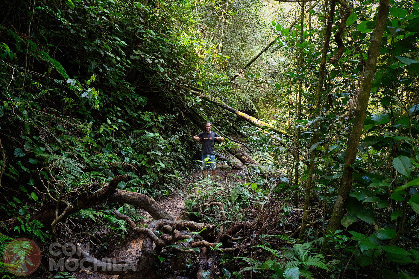 Some less accessible sections