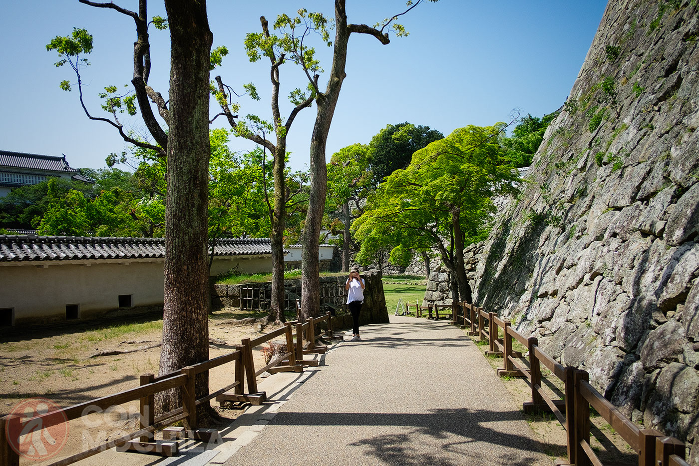 Views of the exterior of the venue, with Carme included