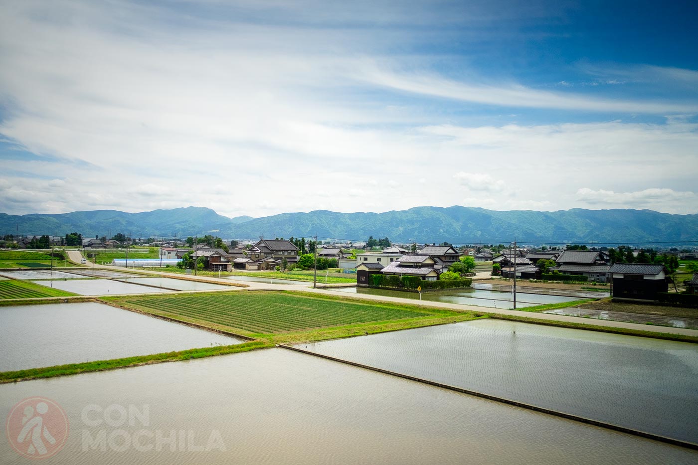 And its rice fields