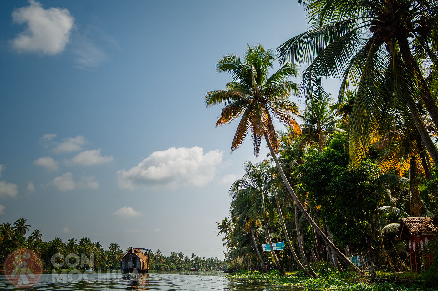 One of the big boats you'll see in the backwaters of Kerala
