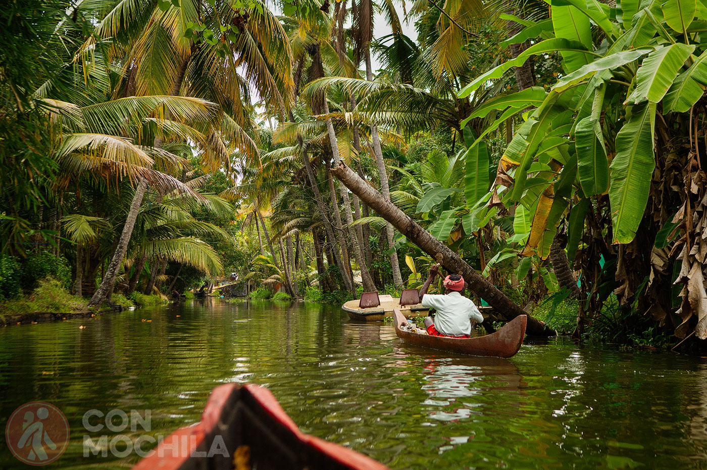 The narrow (and photogenic) canals of Kerala's Backwaters