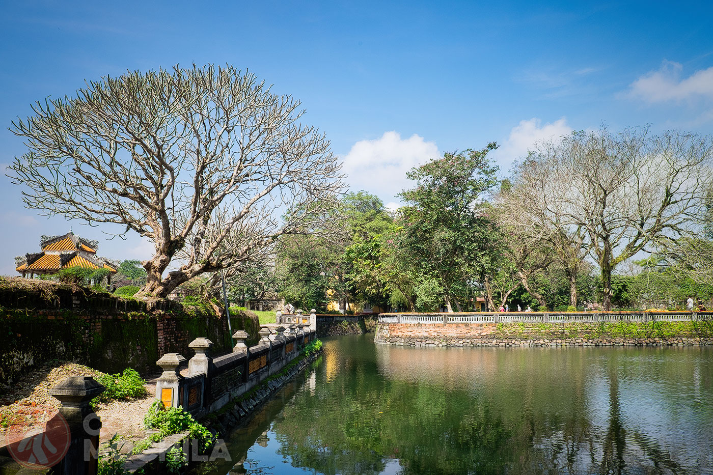 View of the pond