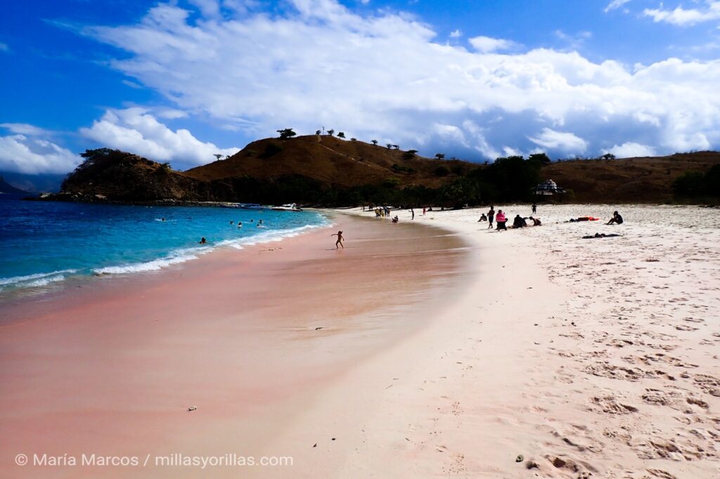 By protecting ourselves from the sun we are unintentionally weakening corals and other marine life.