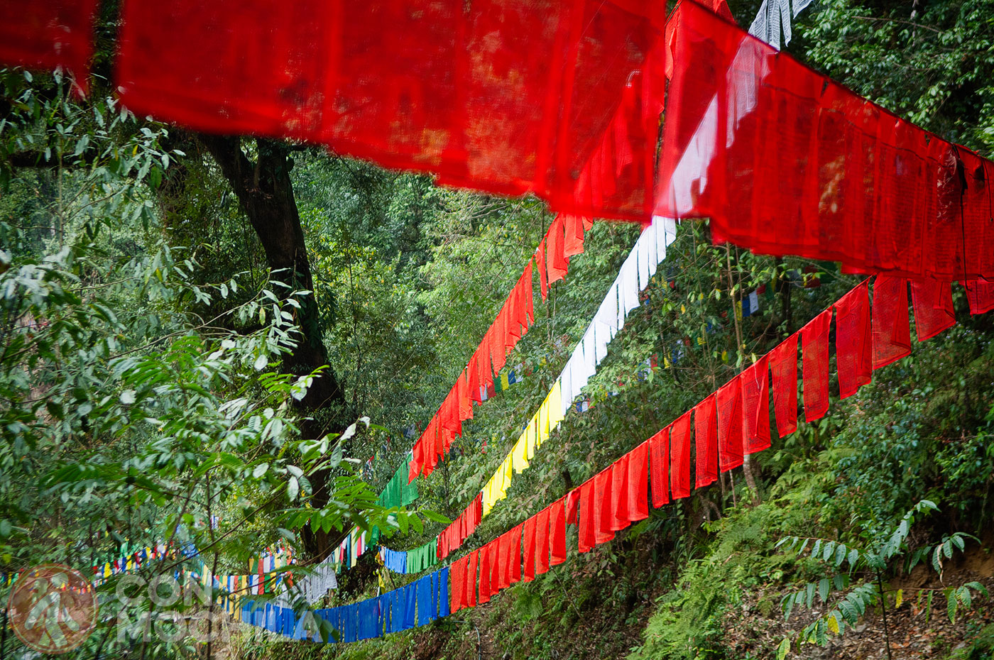 Norbugang Park