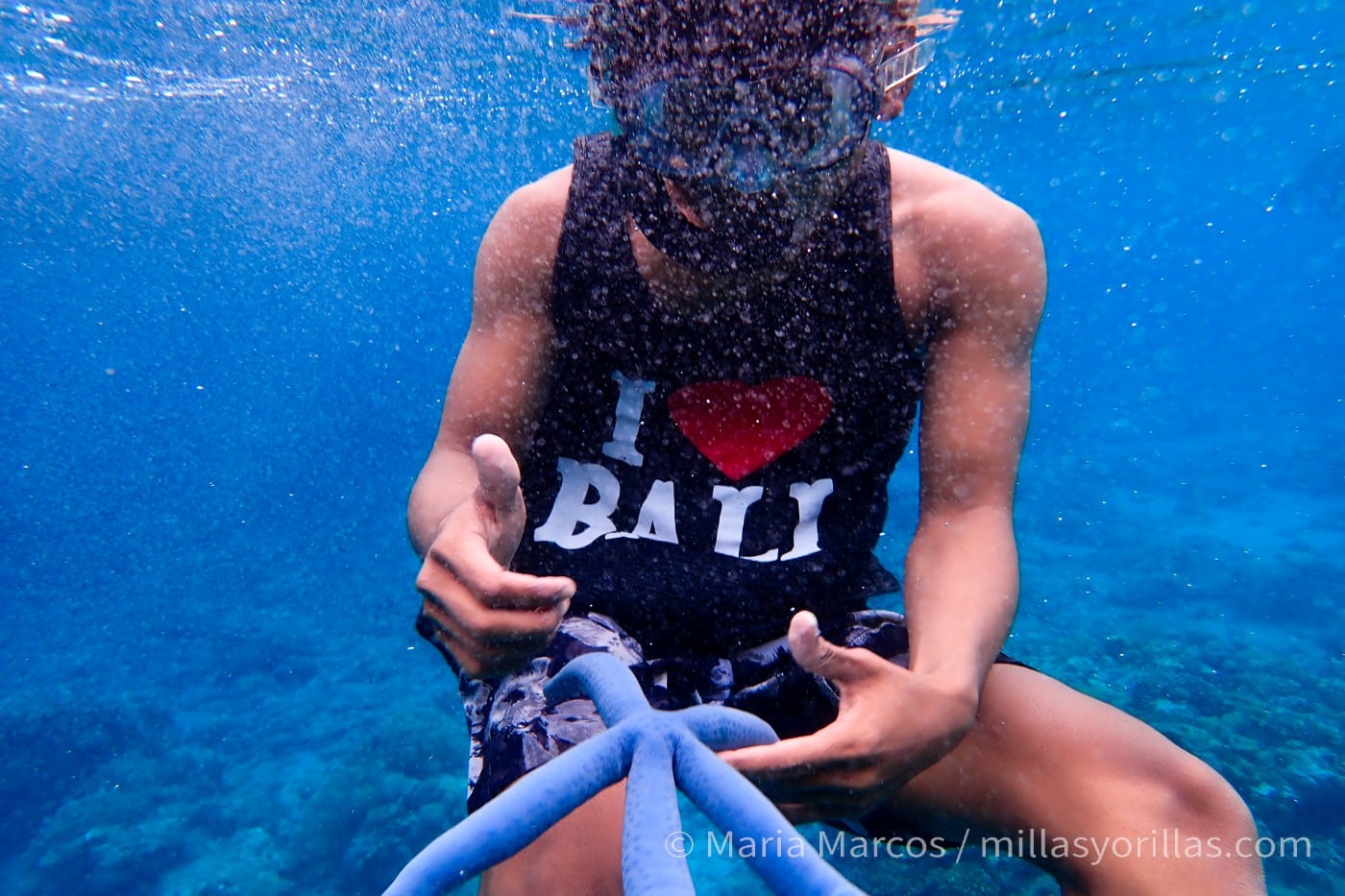 During a trip to Indonesia, I met a sailor who worked on the boat we sailed through the Flores Sea. He insisted on collecting various marine life to show us and to take photos. I refused and explained to him why he should stop.