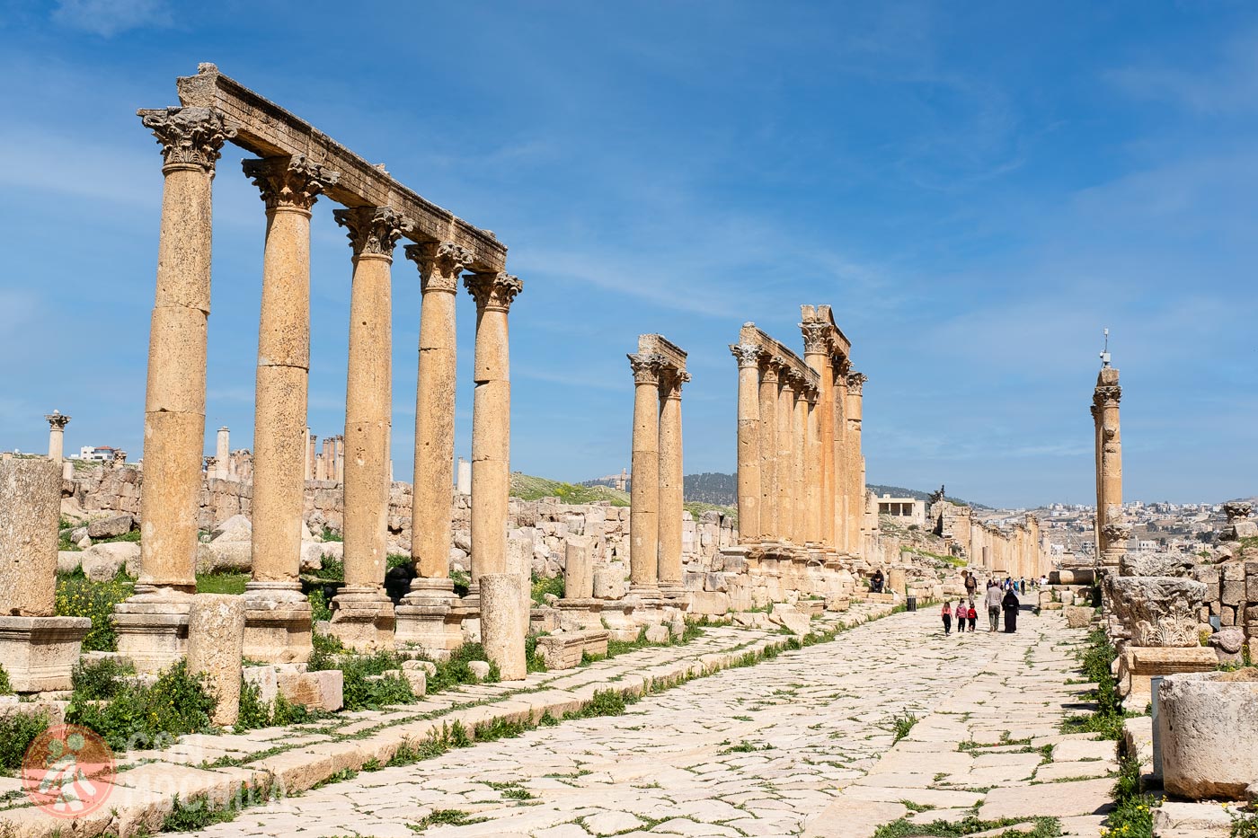 The impressive street or Cardo Maximus of Jerash