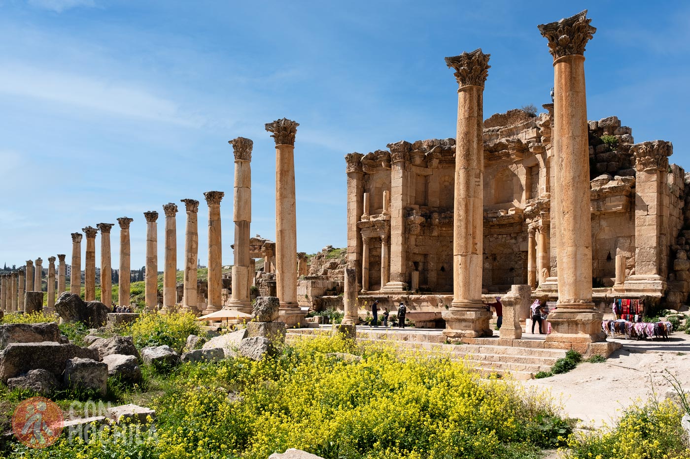 General view of the Nymphaeum of Jerash