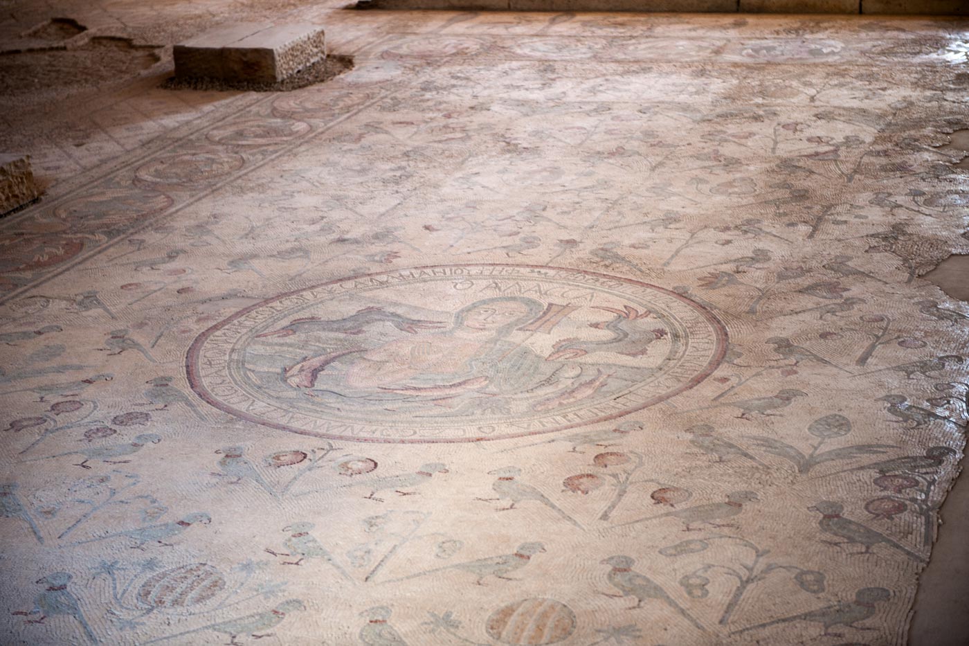 Detalle del mosaico