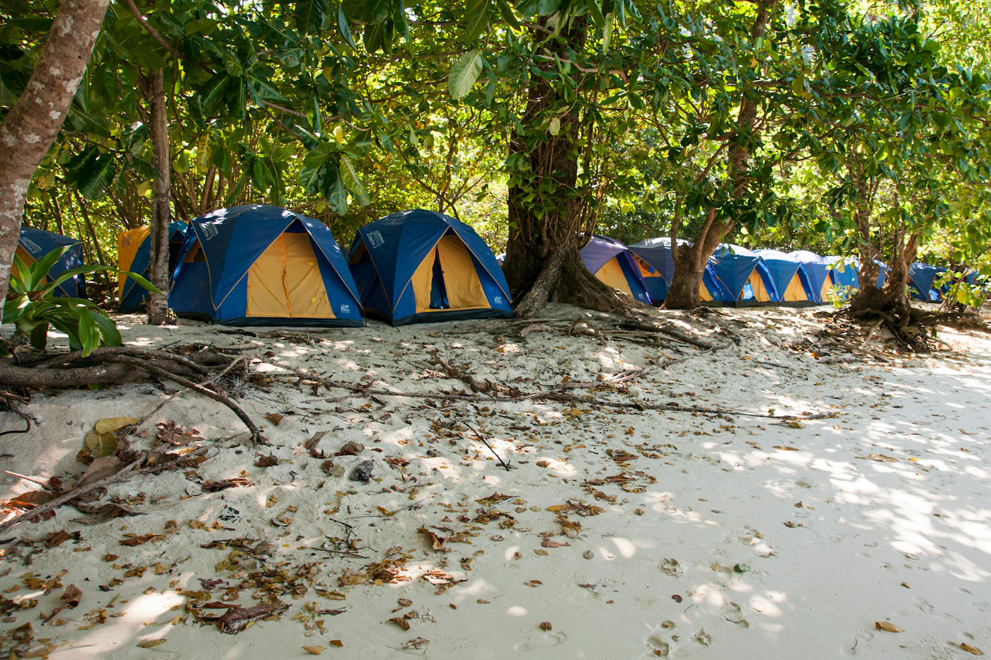 Tents in Koh Surin.