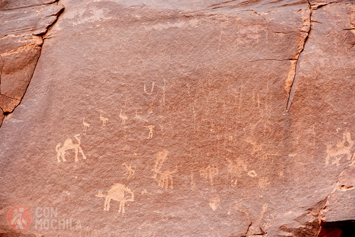 Petroglyphs in Wadi Rum