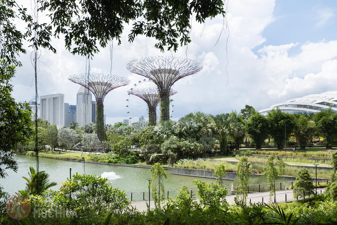 Gardens by the Bay