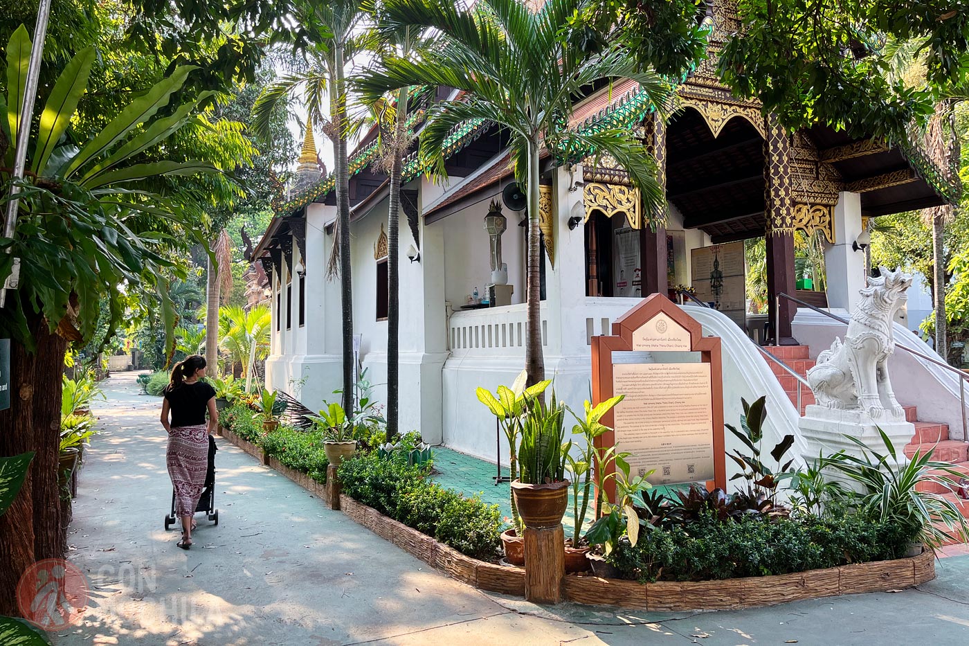 In Chiang Mai, not so much… but you can try