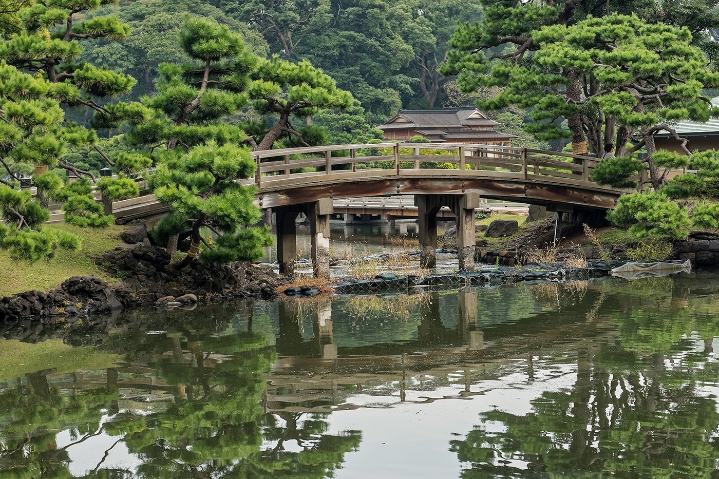 Hama Rikyu Gardens