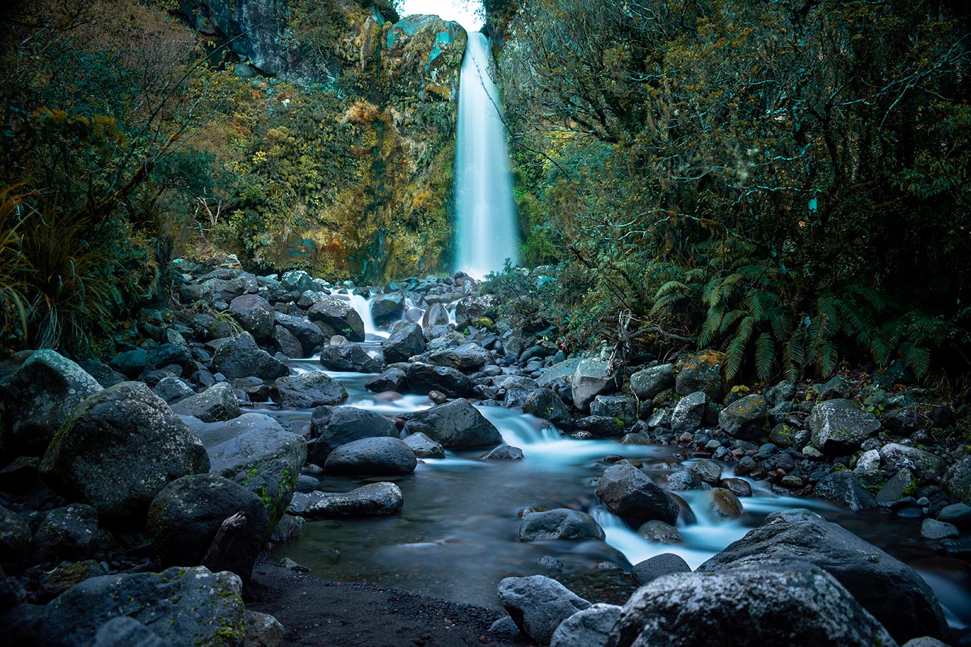 Dawson Falls, 18 meters of vertical drop