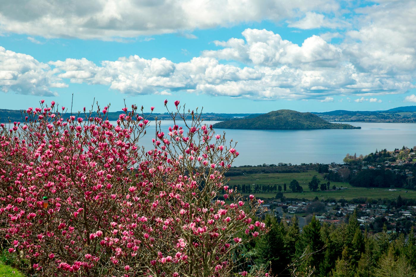 Te Mokoia Island in Lake Rotorua