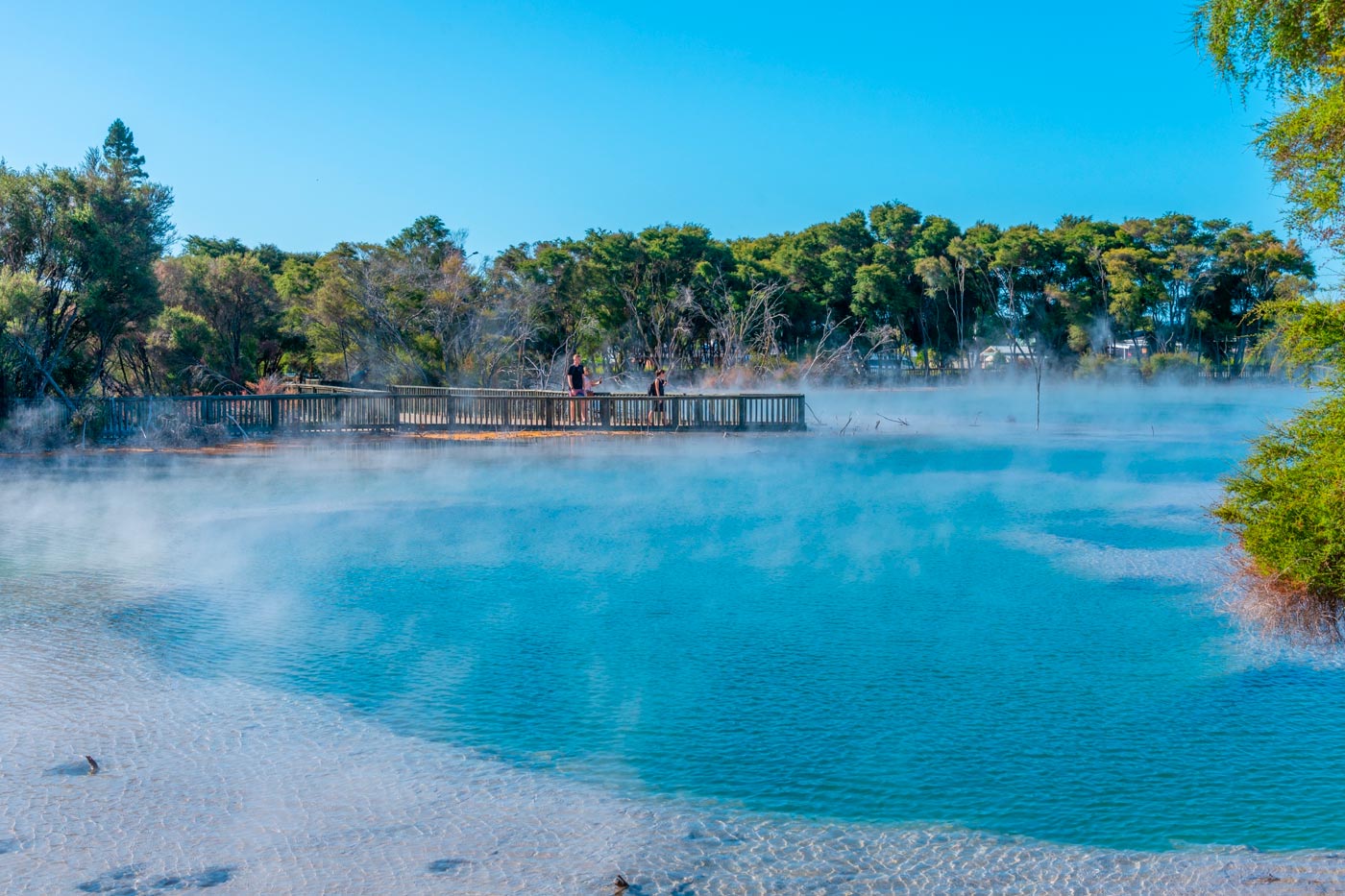 A walk through Kuirau Park
