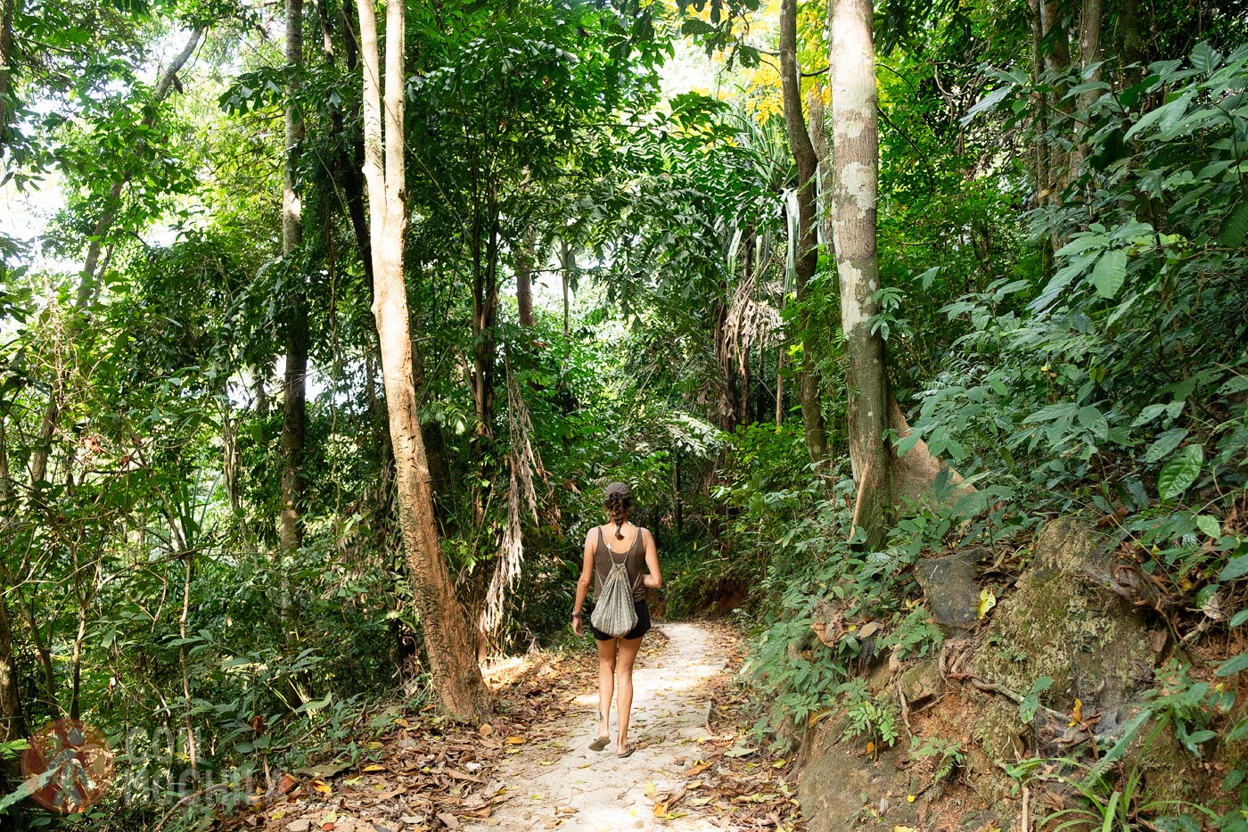 Looking for Hidden Beaches