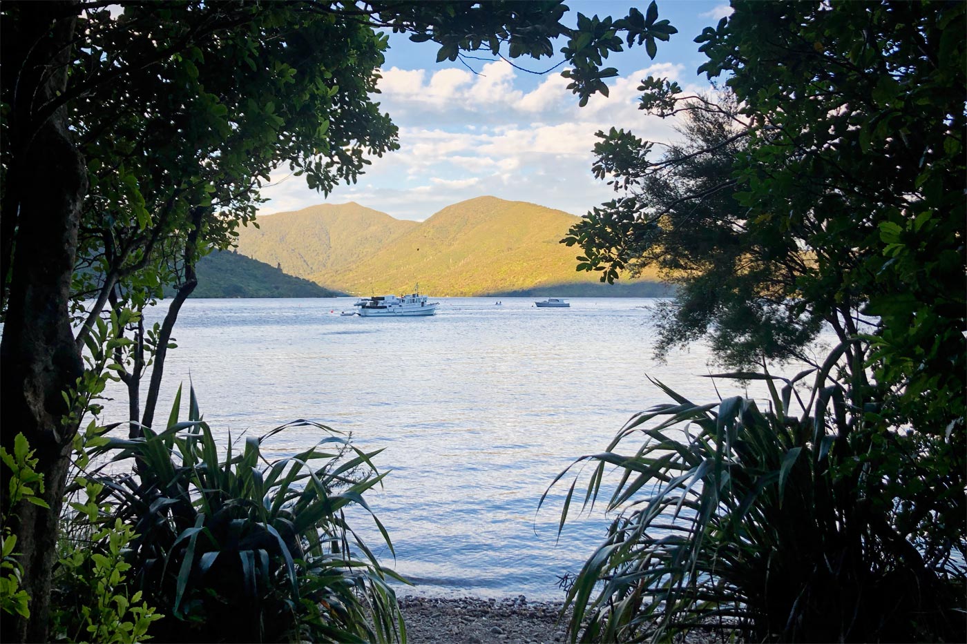 You will love the taxi boat ride