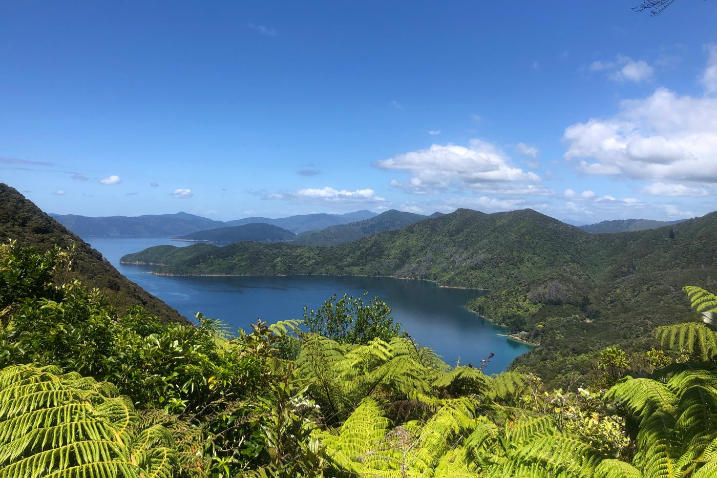 Ship Cove from above