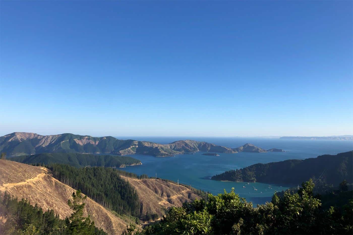 Picton at your feet, the port a little further away and, in the background, the impressive sounds of Marlborough