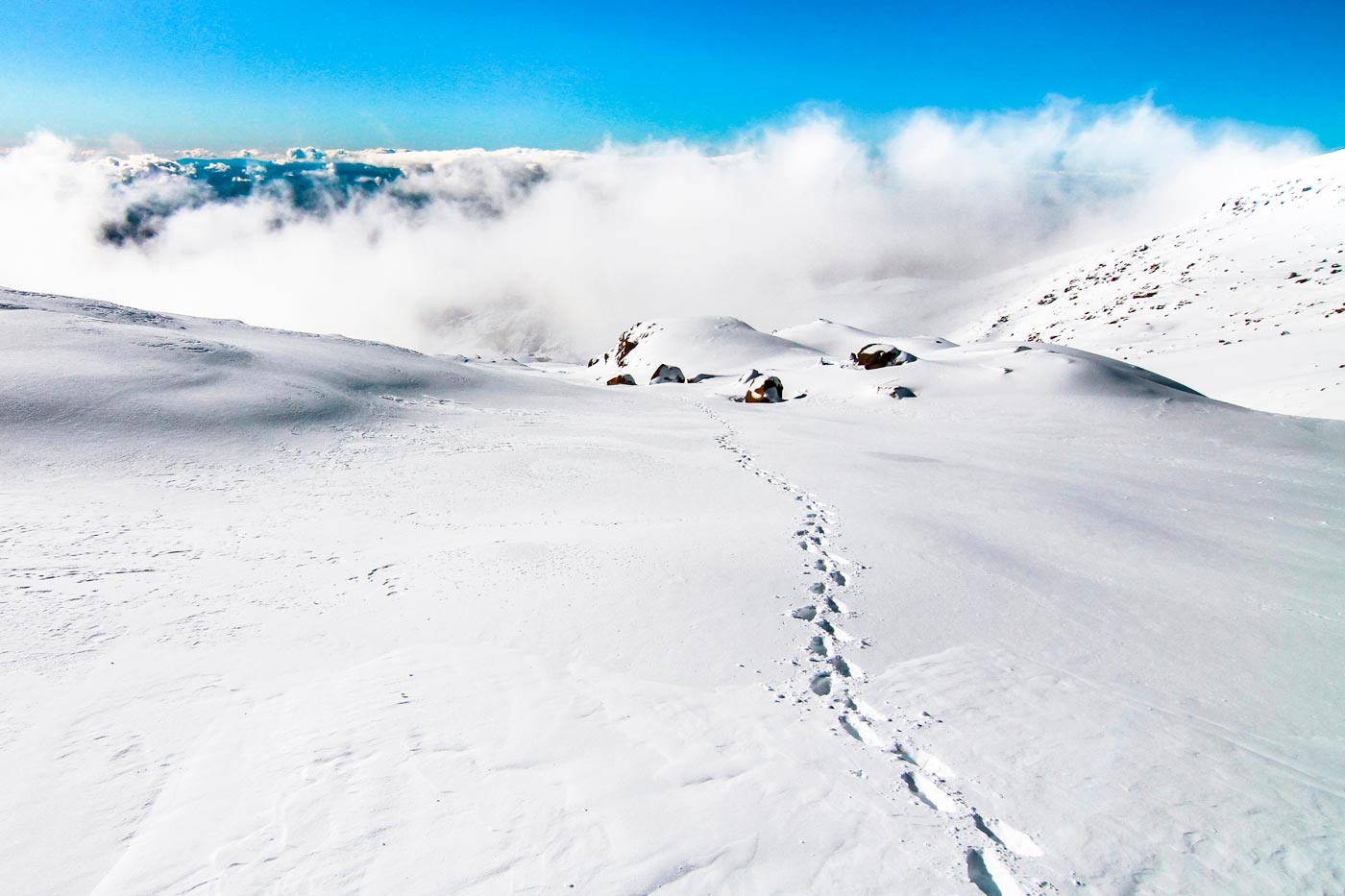 The path to the top