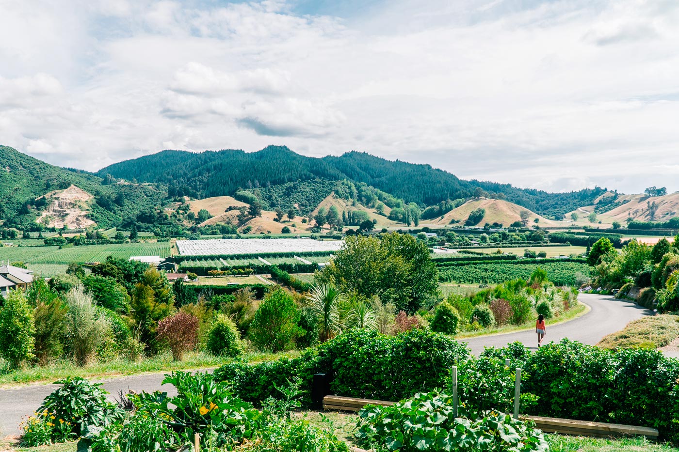 The road will take you through fields of crops, vineyards, wineries, art galleries, serpentine coasts, hills, rivers and valleys.