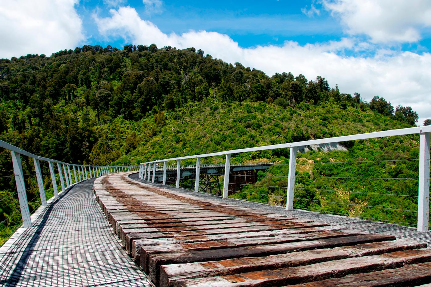 Ohakune Old Coach Road
