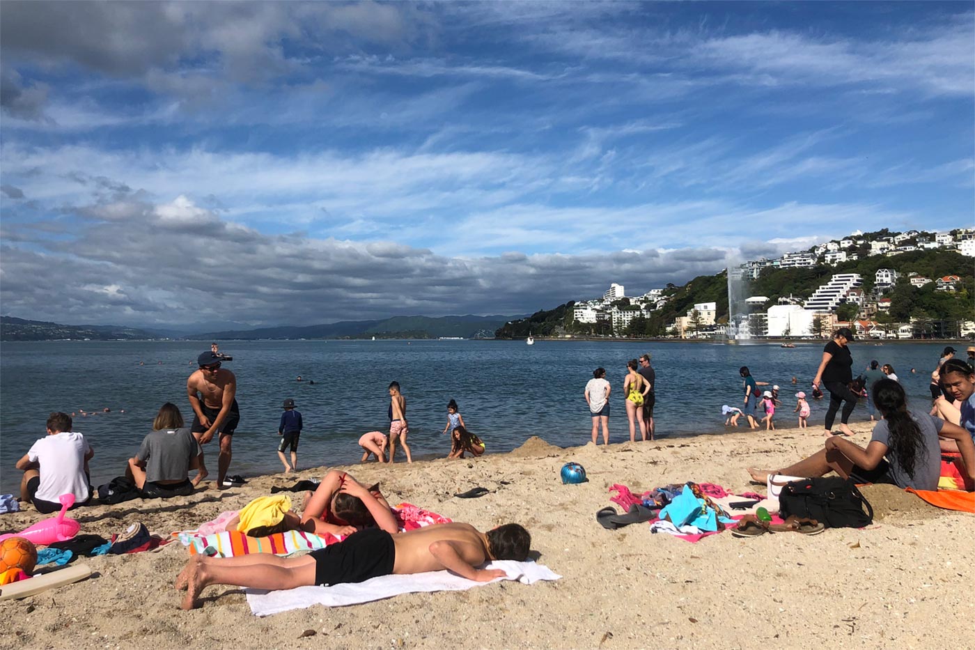 Wellington’s silver skies in full force