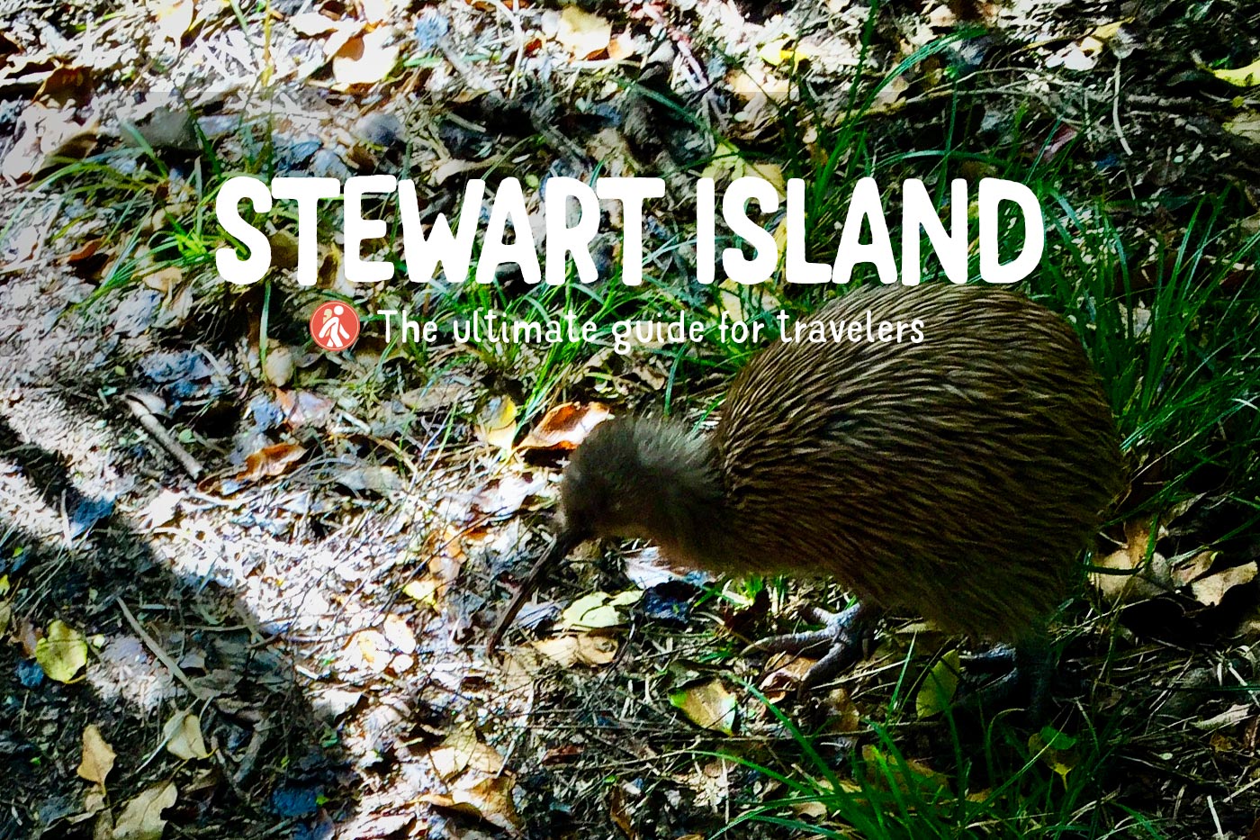 Stewart Island Travel Guide