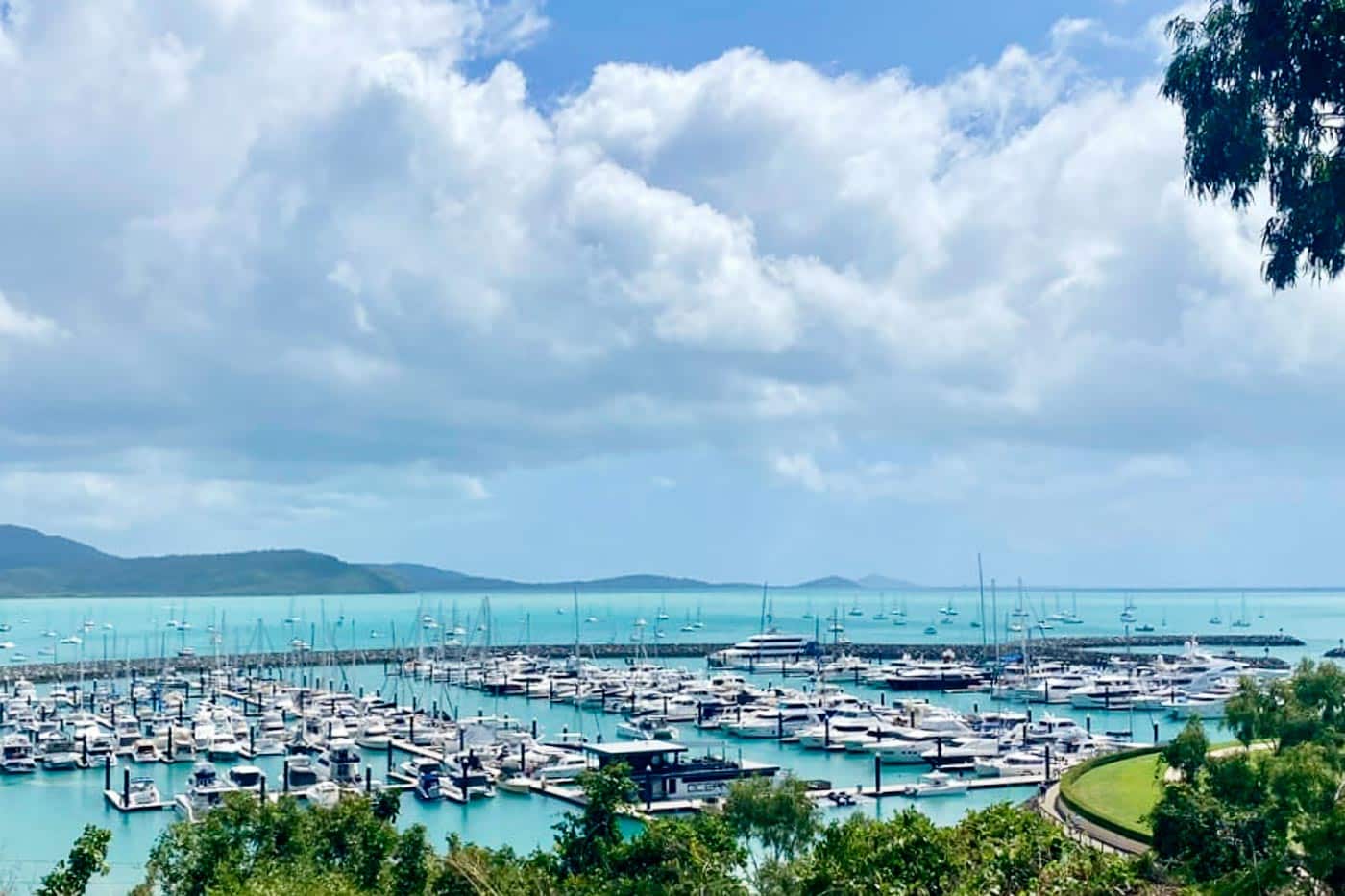 Sailboats in the marina