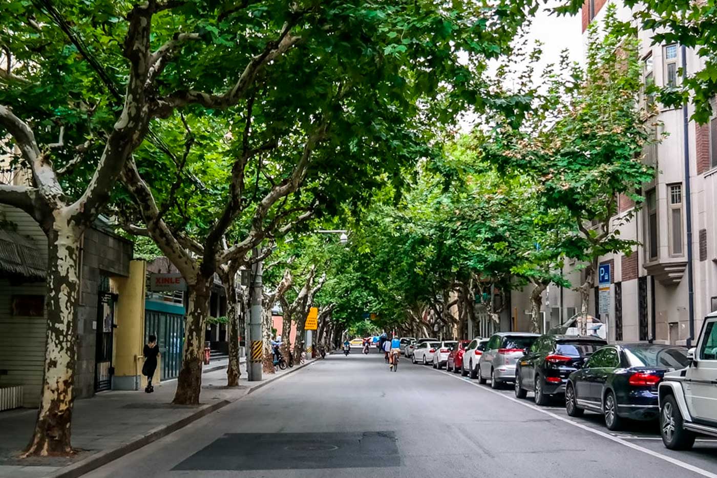 The French Concession in Shanghai