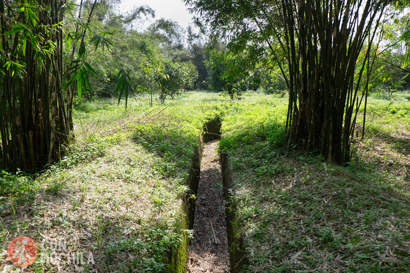 Old trenches