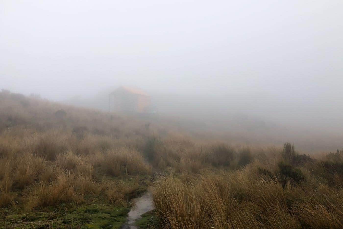 Mt Brown Hut Reality