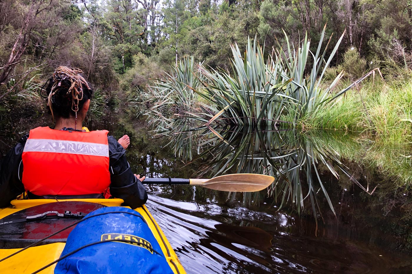 Kayaking through the jungle

