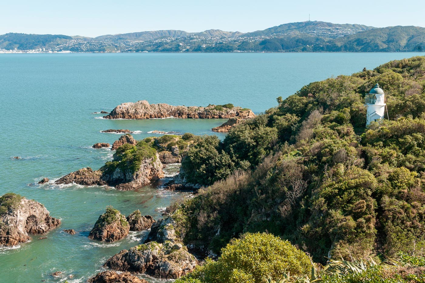 Nature on Matiu/Somes Island
