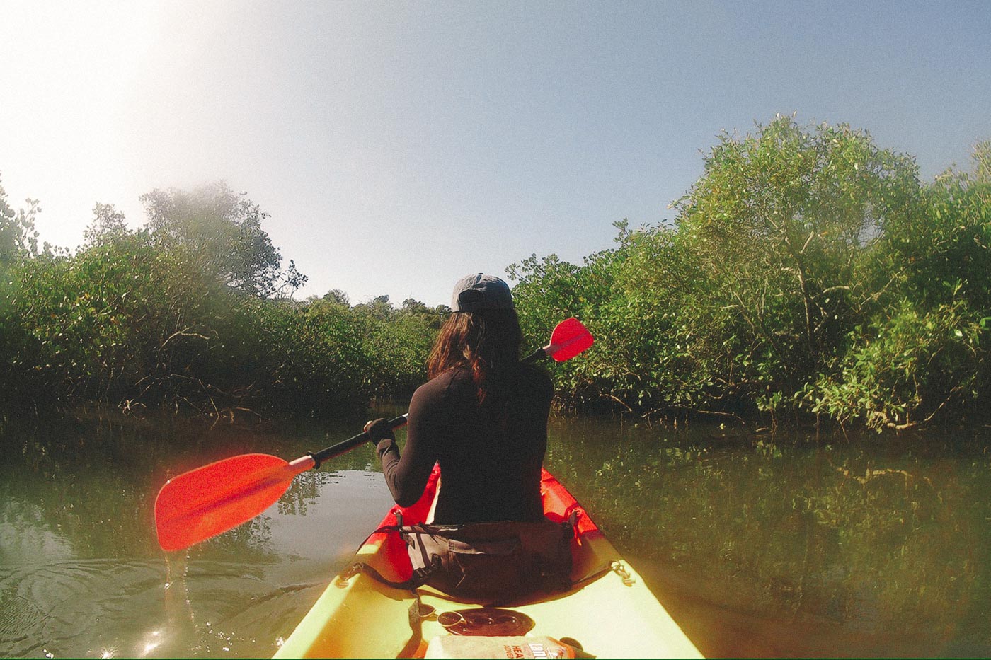 Thea rowing through the mangroves
