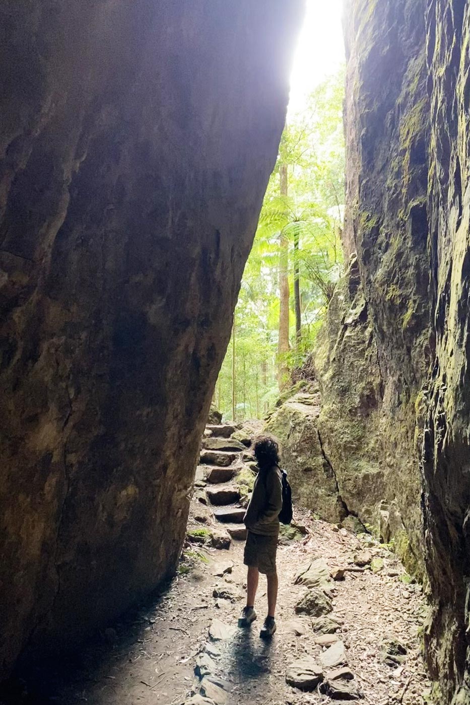Springbrook National Park