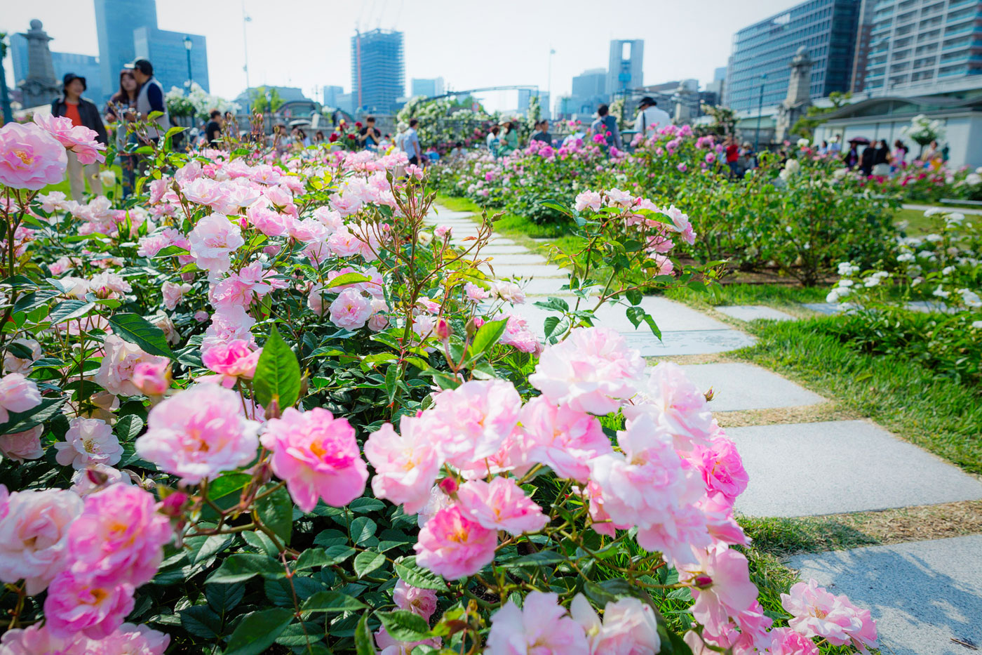 Nakanoshima Park