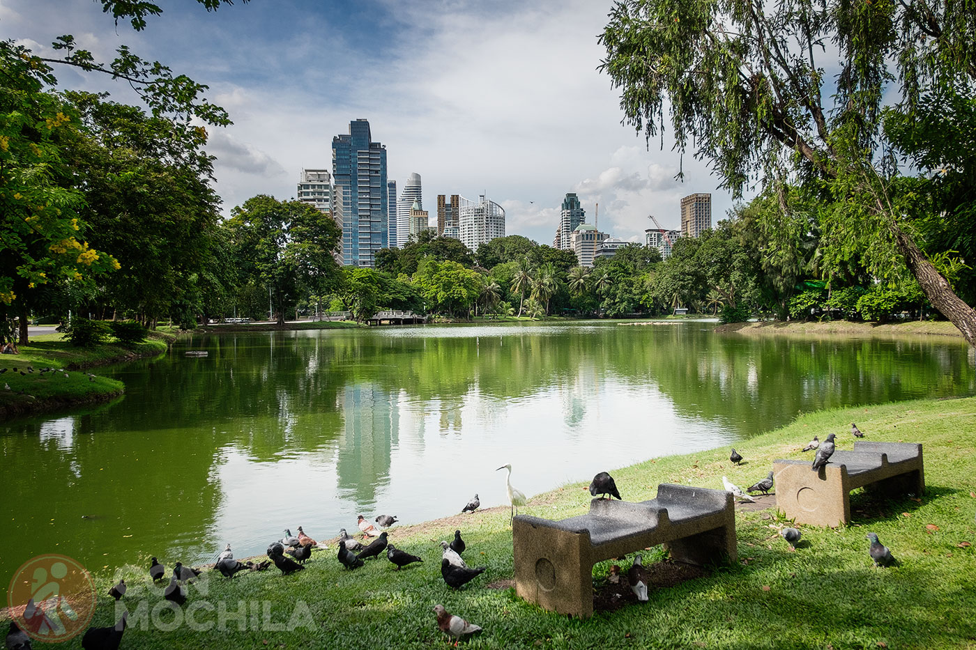 Birds roaming freely