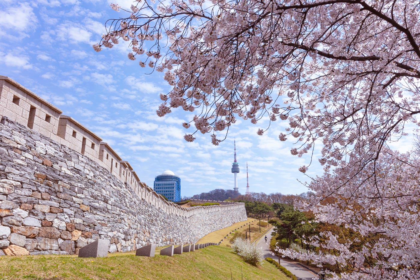 Namsan Park in spring