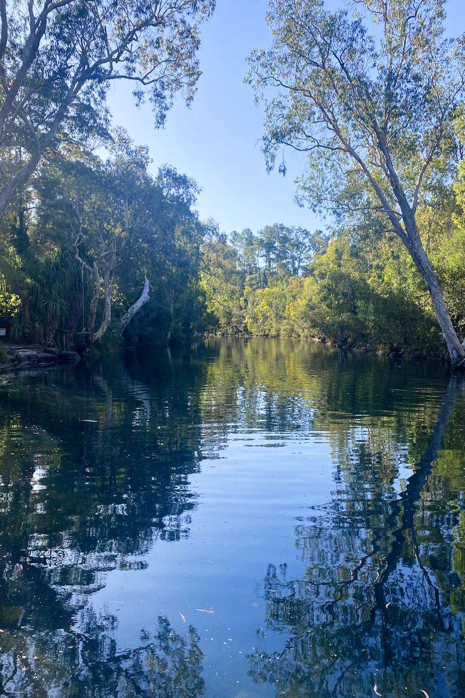 Natural pool at Stoney Creek