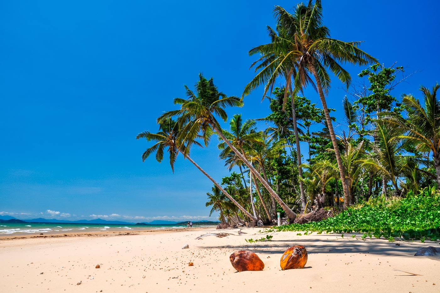 Welcome to Mission Beach